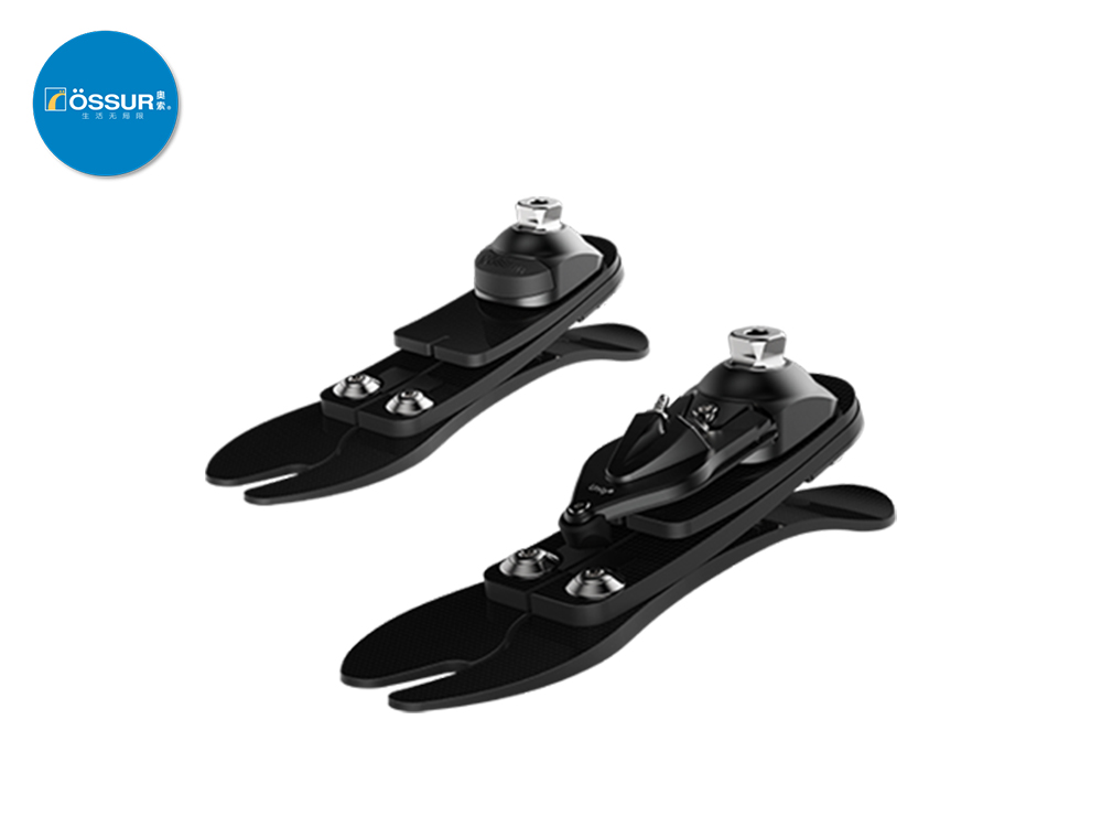 冰島奧索低外型暴風(fēng)飛毛腿